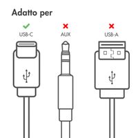 Accezz Auricolari - Con cavo - Connessione USB-C - Nero