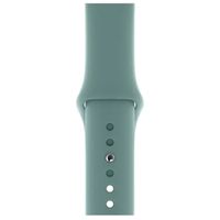 Apple Cinturino sportivo Apple Watch | 44/45/46/49 mm - Cactus