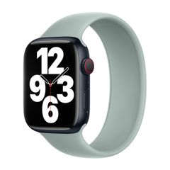 Apple Cinturino Solo Loop Apple Watch | 38/40/41/42 mm - Taglia 7 - Succulent