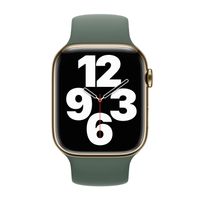 Apple Cinturino Solo Loop Apple Watch | 38/40/41/42 mm - Taglia 6 - Eucalyptus