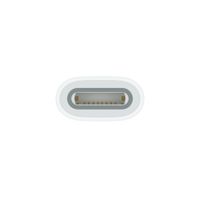 Apple Adattatore da USB-C a Apple Pencil