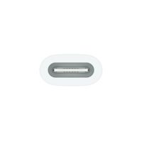 Apple Adattatore da USB-C a Apple Pencil