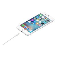 Apple Cavo Lightning a USB-A - 2 metri - Bianco