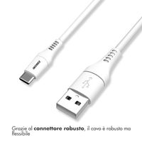 Accezz Cavo USB-C a USB – 2 metri – Bianco