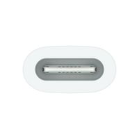 Apple Adattatore da USB-C a Apple Pencil - Bianco
